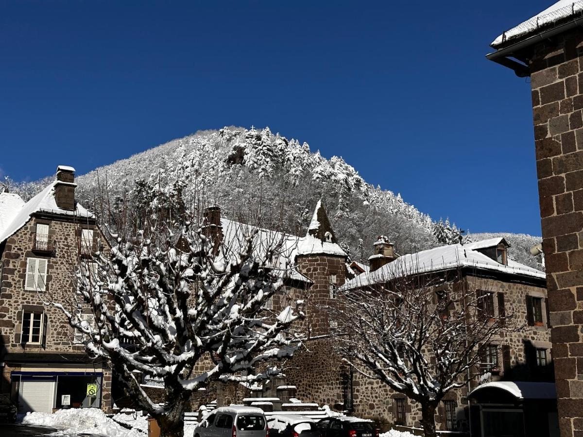 Belle Maison De Ville Au Coeur Du Village De Montagne Vic-sur-Cère Kültér fotó