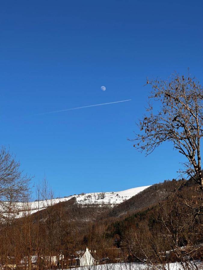 Belle Maison De Ville Au Coeur Du Village De Montagne Vic-sur-Cère Kültér fotó