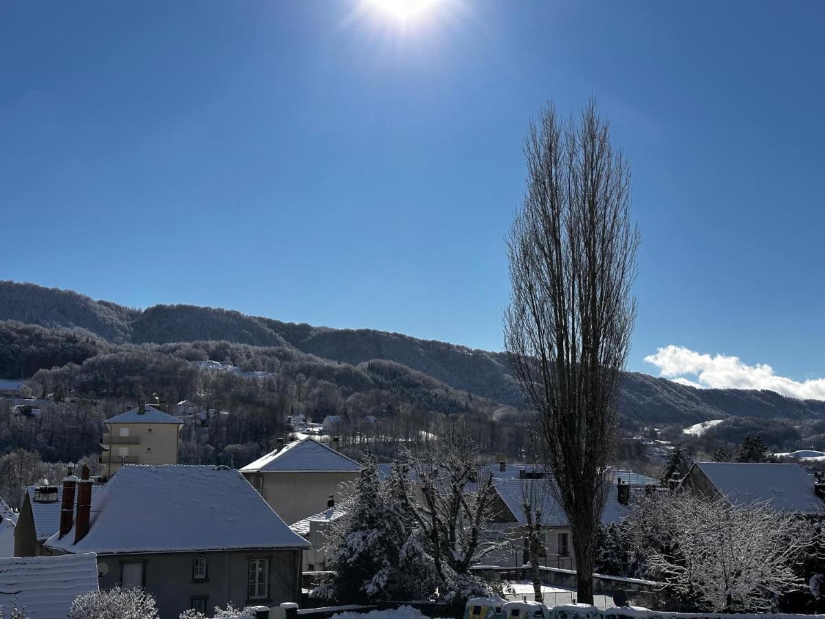 Belle Maison De Ville Au Coeur Du Village De Montagne Vic-sur-Cère Kültér fotó
